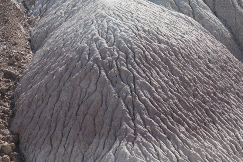 plabimg_4231.jpg