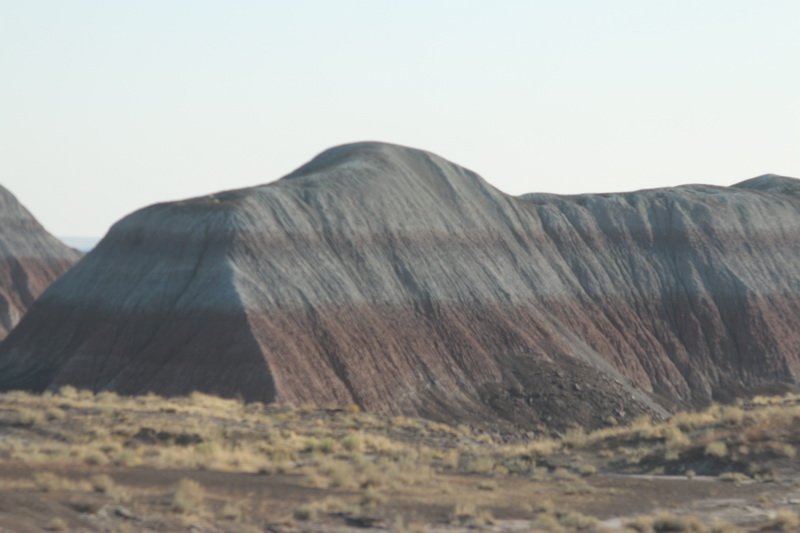 plabimg_4289.jpg