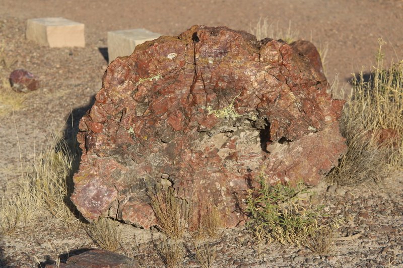 plabimg_4326.jpg