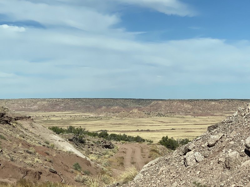 rlabimg_6473.jpg