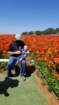 flowers20210331_140252_small.jpg