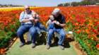 flowers20210331_140332_small.jpg