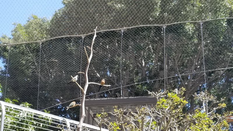 zoo20210407_131855.jpg