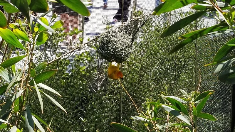 zoo20210407_132110.jpg