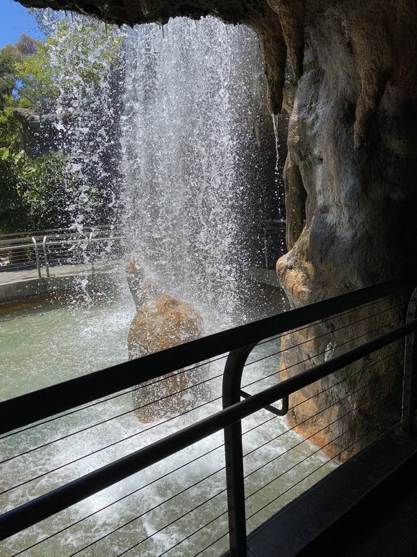 zooimg_9041.jpg