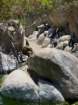 zooimg_9046_small.jpg