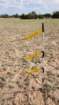 ranch20210508_162948_small.jpg