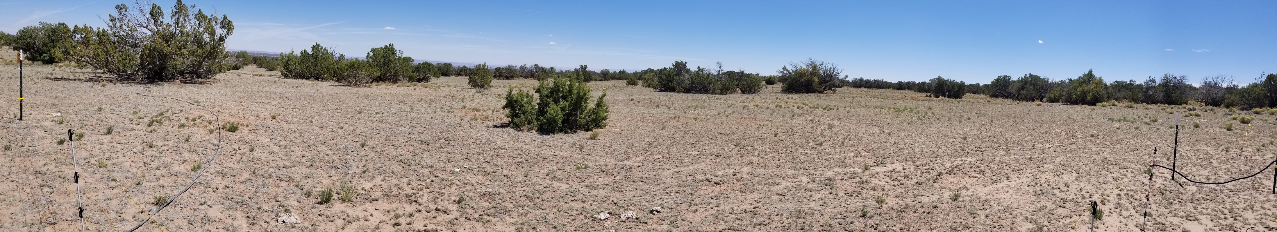 ranch20210529_135405.jpg