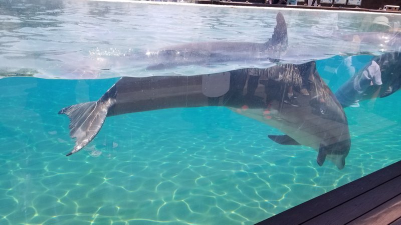 seaworld20210711_141151.jpg