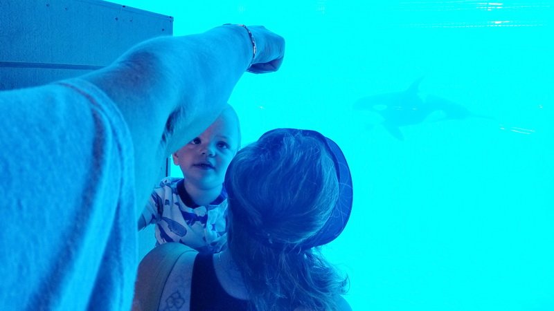 seaworld20210718_102711.jpg