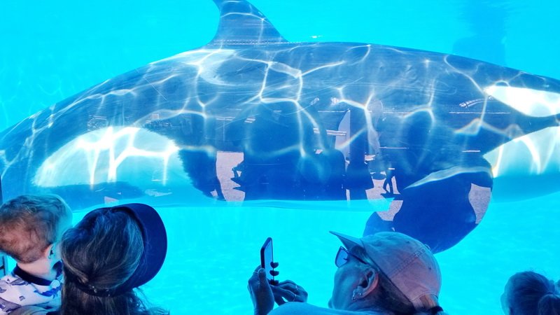 seaworld20210718_102719.jpg