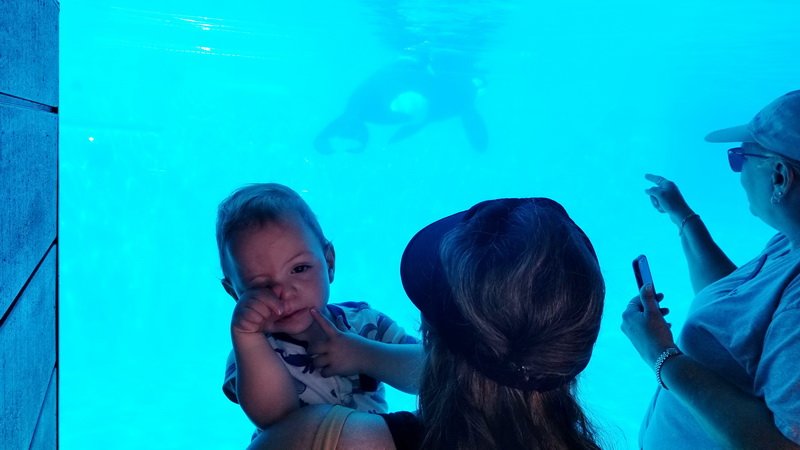 seaworld20210718_102802.jpg