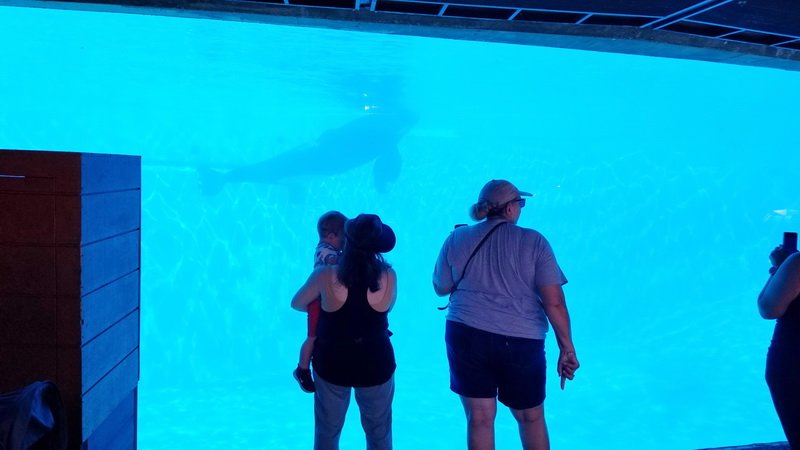 seaworld20210718_103105.jpg