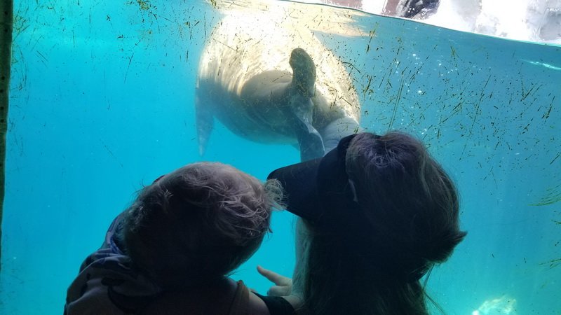 seaworld20210718_132407.jpg