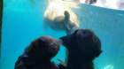 seaworld20210718_132407_small.jpg