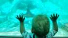 seaworld20210718_135809_small.jpg