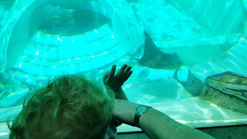 seaworld20210718_135810.jpg