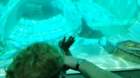 seaworld20210718_135810_small.jpg