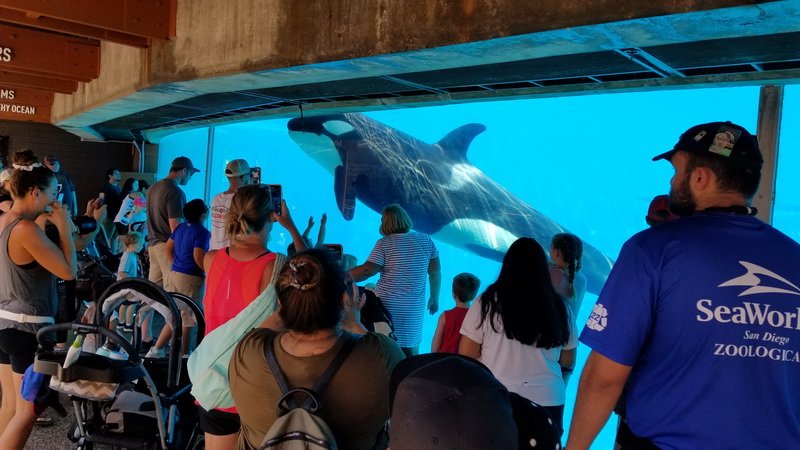seaworld20210811_103237.jpg