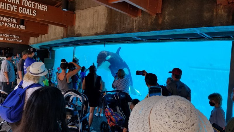seaworld20210811_103416.jpg