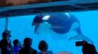 seaworld20210811_103423_small.jpg