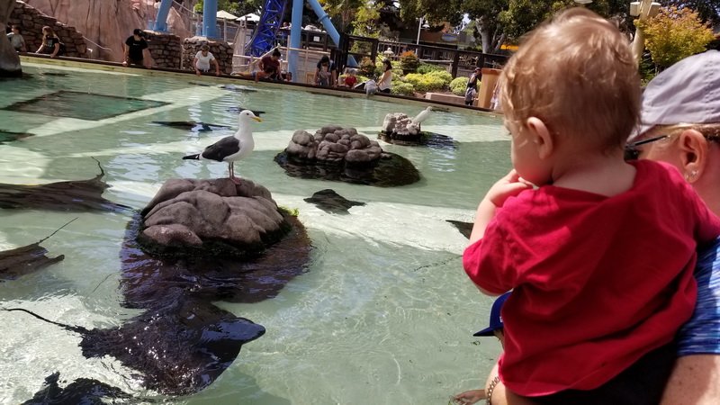 seaworld20210811_110838.jpg