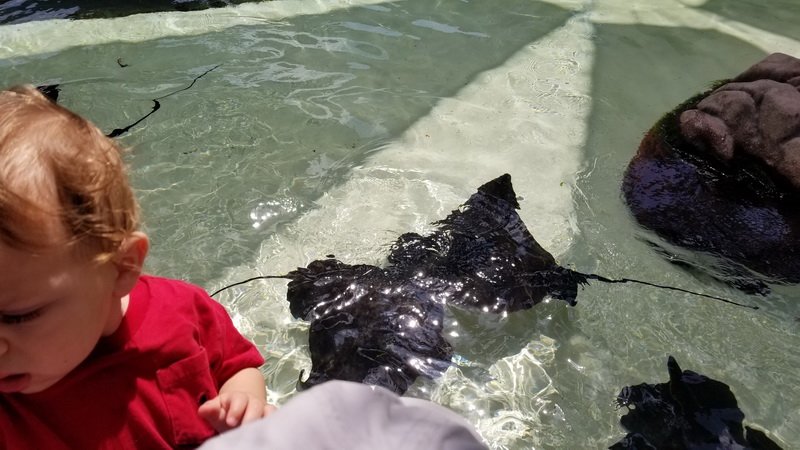 seaworld20210811_110851.jpg