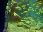 seaworldimg_0081_small.jpg