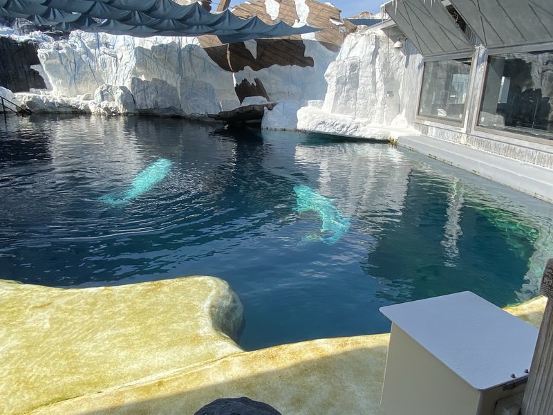 seaworldimg_9338.jpg