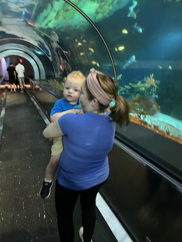 seaworldimg_9436.jpg