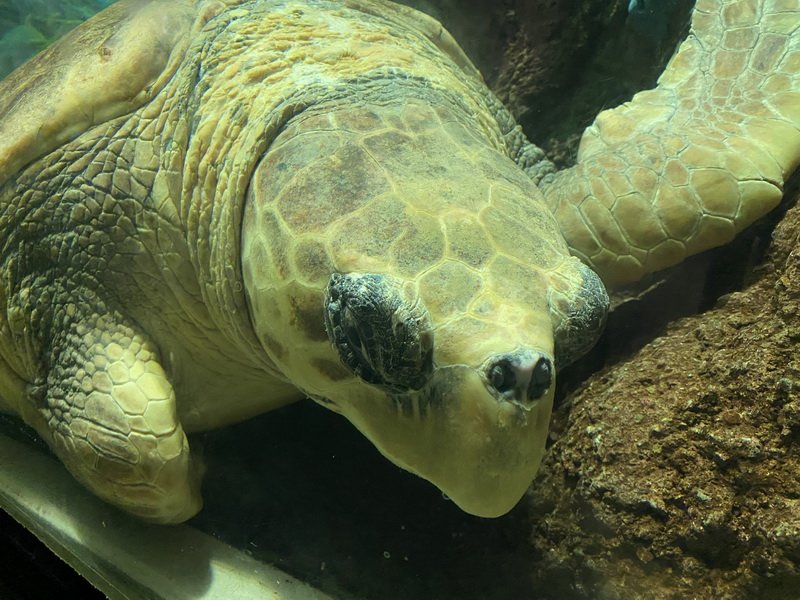 seaworldimg_9464.jpg