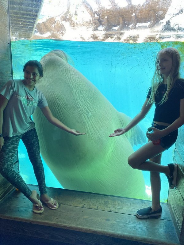 seaworldimg_9550.jpg