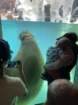 seaworldimg_9551_small.jpg