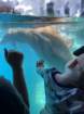 seaworldimg_9553_small.jpg