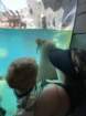 seaworldimg_9558_small.jpg