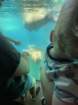 seaworldimg_9559_small.jpg