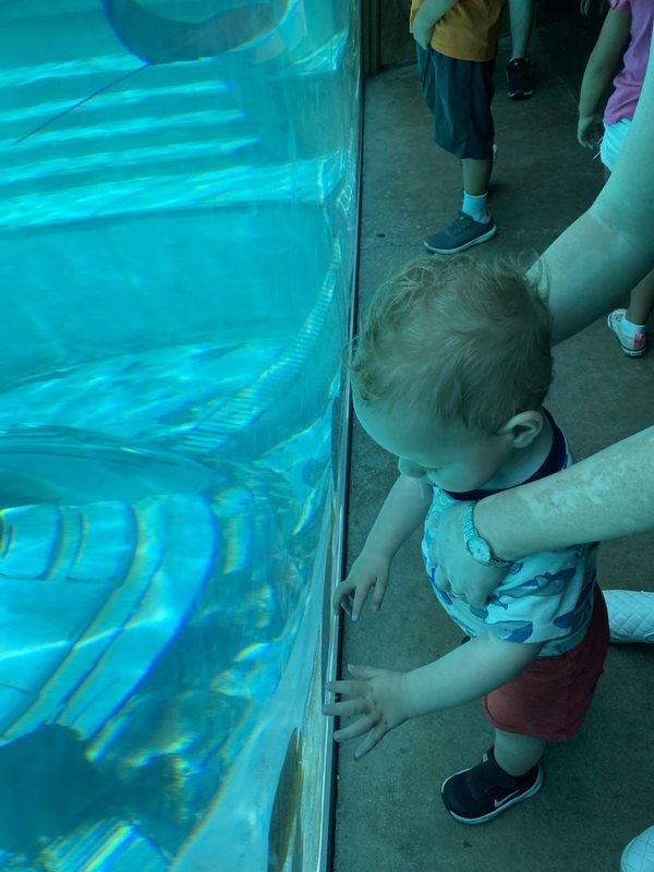 seaworldimg_9570.jpg