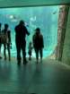 seaworldimg_9573_small.jpg