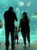 seaworldimg_9575_small.jpg