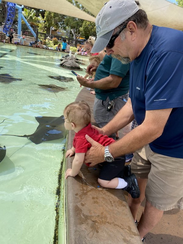 seaworldimg_9796.jpg
