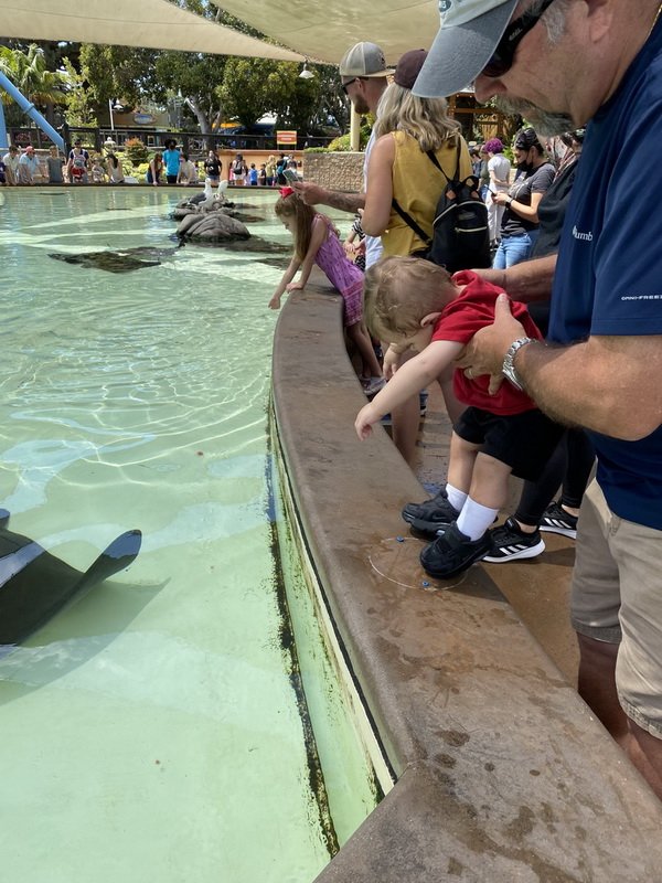 seaworldimg_9798.jpg