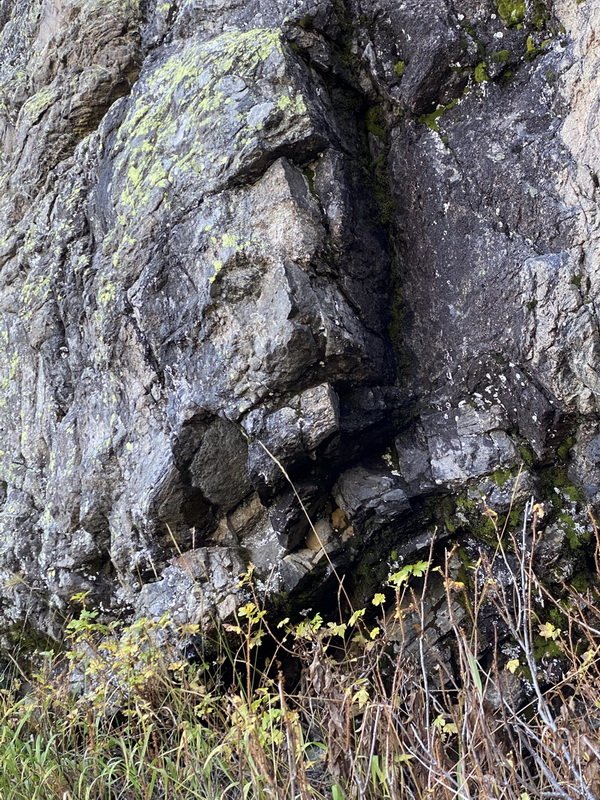 estesparkimg_0479.jpg