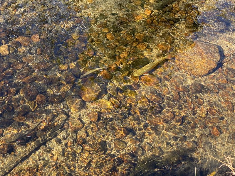 estesparkimg_0506.jpg
