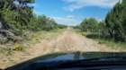 ranchmice20220902_160537_small.jpg