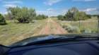 ranchmice20220902_160559_small.jpg