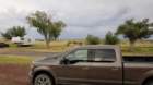 ranchmice20220909_175003_small.jpg