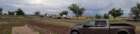 ranchmice20220909_175202_small.jpg