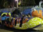 seaworldimg_6144_small.jpg