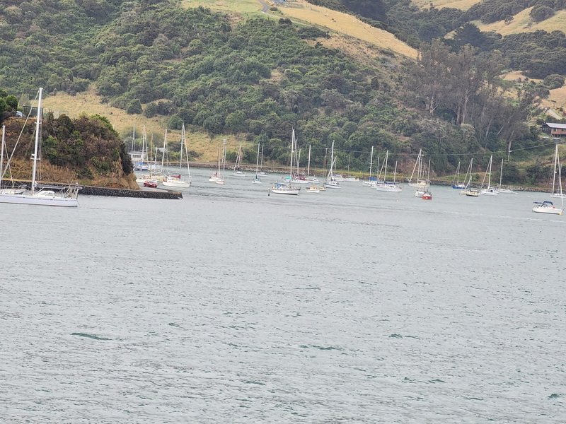 nzaus20230222_175119.jpg