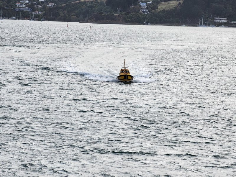 nzaus20230222_180550.jpg